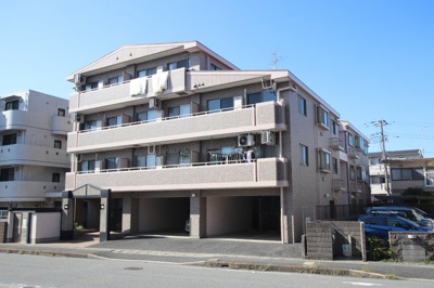 しっかり、どっしりした印象ですね
