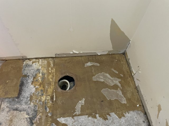 エーデルⅡのその他