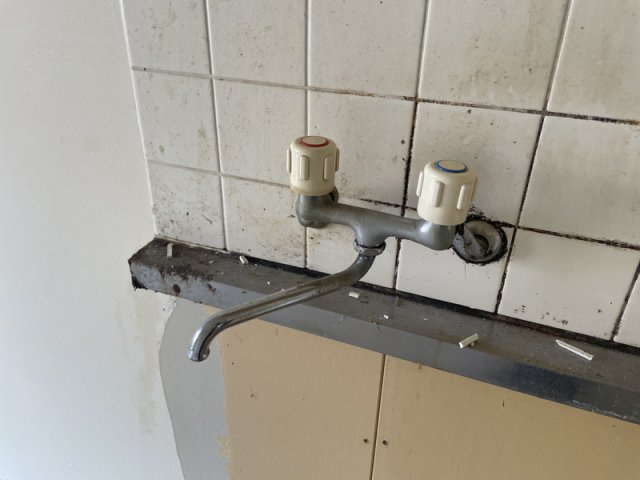 エーデルⅡのキッチン