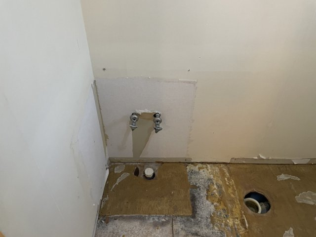 エーデルⅡの洗面所