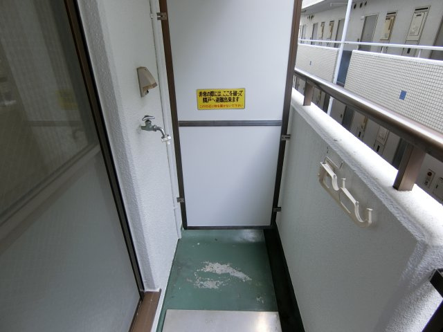 シロハイヌの内装