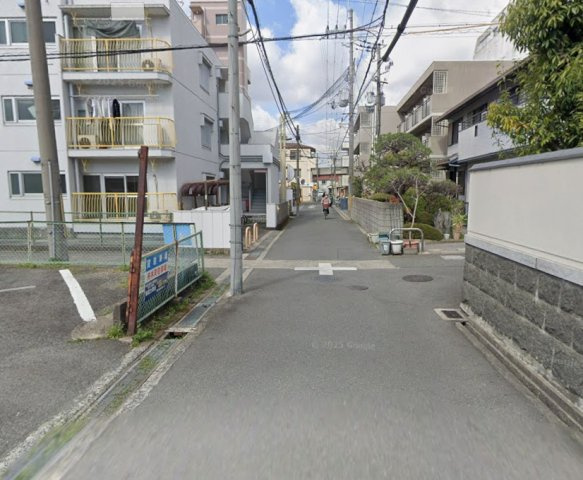 シロハイヌの周辺