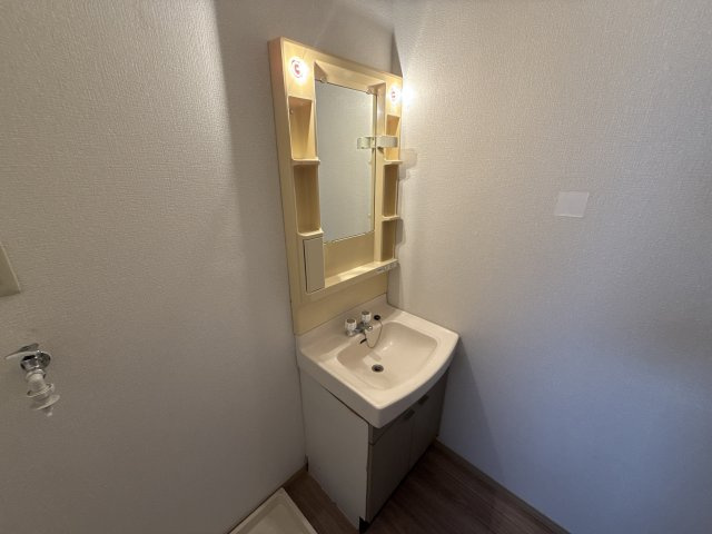 サンアクティーＢの洗面所