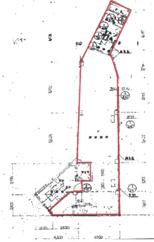 鈴越ビルの間取り