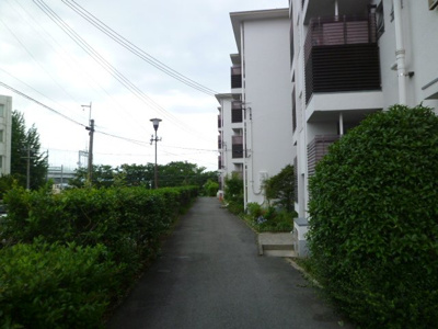 【外観】 | 円明寺ヶ丘団地Ｙ棟