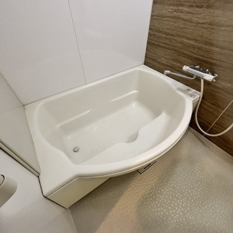 プレジャー室蘭駅前Ⅱの浴室