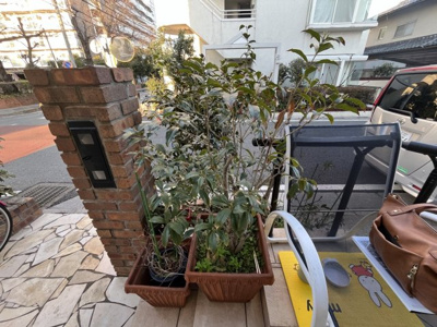 【エントランス】 | フォレストリバー | お手入れが届いています