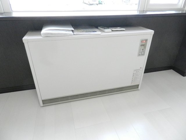 ベルン新生のその他