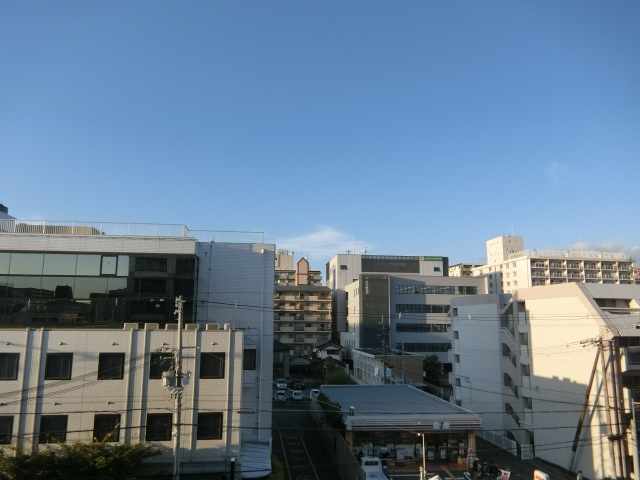 ミューズパークの展望