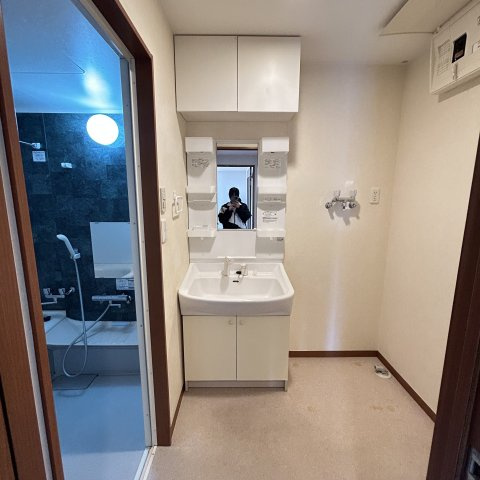 アーバンヴェール参号館の洗面所
