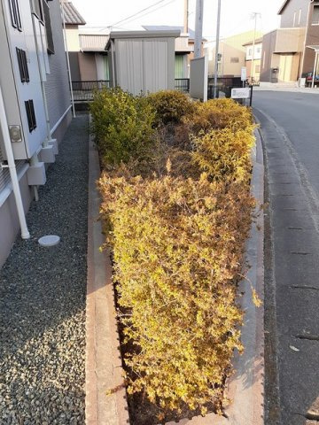 レザンド・フレーズⅠのその他