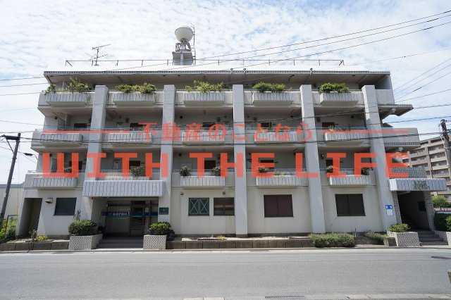 石村ビル【キャッシュバック対象物件】の外観|外観です