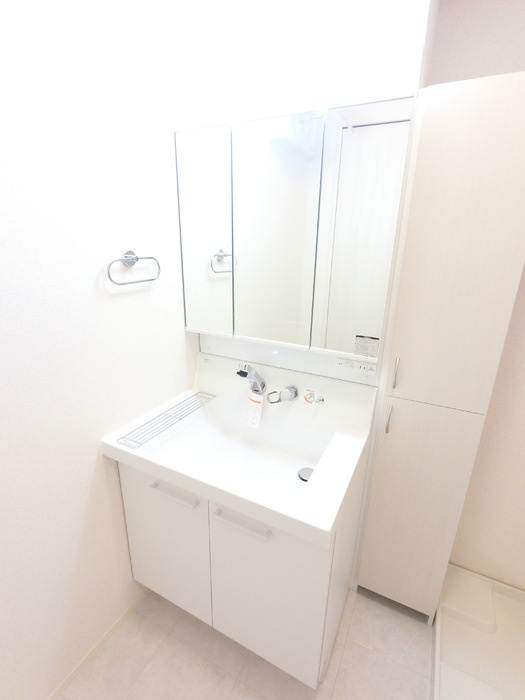 ＴＴ Annexの洗面所|シャワーヘッド付き三面鏡洗面台です