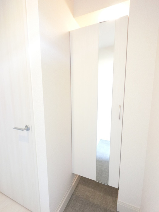 ＴＴ Annexの収納|広めのＢoxは収納力ばっちり。トールタイプのミラーついてます。