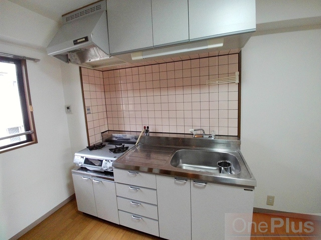 サイレンスⅠのキッチン