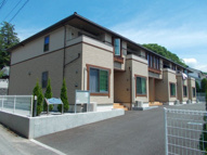 サニープラシードの画像