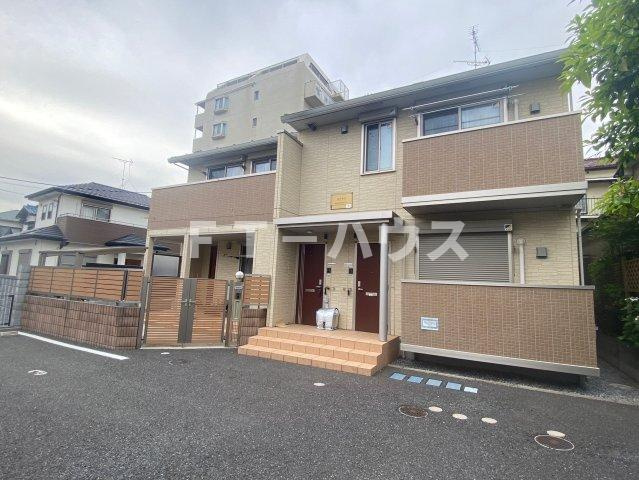 シザンサス・エアナス エアナス