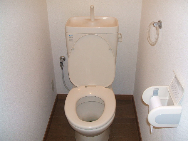 和楽園ハイツ弐番館のトイレ|トイレも気になるポイント