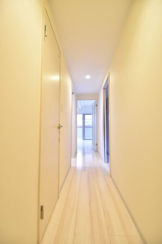大阪市城東区野江１丁目の賃貸マンションの玄関