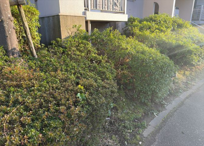 【庭】 | 小山田桜台団地 | 物件によっては、入居者が個人的に使用できる専用庭がついているものもあります。また、住宅の中にある土間の部分を庭と呼ぶこともあります。庭の用途は住む人によって変わり、それによってデザインもさまざまです。