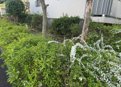 【中庭】 | 小山田桜台団地 | 中庭（パティオ）とは、一つの建築物の内部に設けられた、壁などで囲われている庭のことを指します。コの字型、ロの字型が主流ですが、L字型の中庭もあります。最近では、インテリア性の高さからも人気があります。