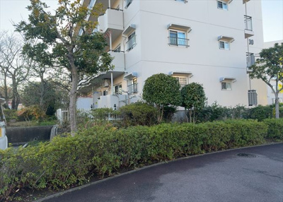 【外観】 | 小山田桜台団地 | マンションの外観は非常に重要なポイントです！外観の善し悪しは資産価値に大きな影響を与えます。外観のいいマンションを購入することで、高値で売却がしやすく、買い手が見つかりやすいというメリットがあります。