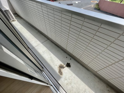 【バルコニー】 | ドエルエミネンス輝