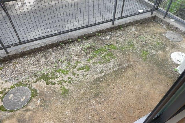 メゾン・エクランタンＥの庭|専用庭