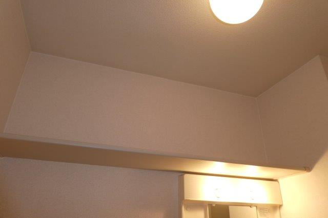 メゾン・エクランタンＥの洗面所|洗面所棚