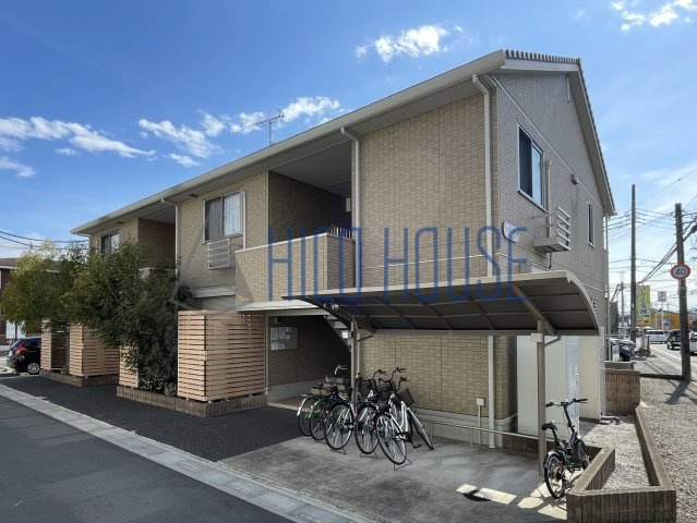 ウィット一本松