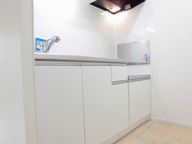 パレス・シュティルCのその他