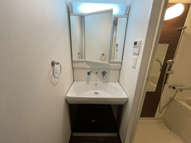S-RESIDENCE淀屋橋の洗面所