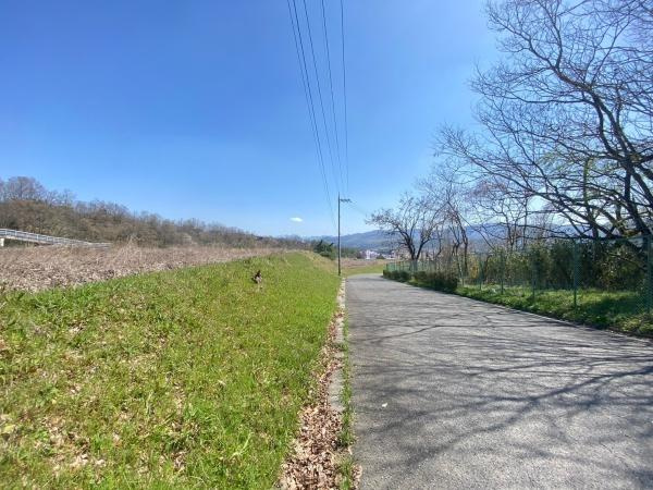 橋本市あやの台1丁目　1号地の前面道路含む現地写真