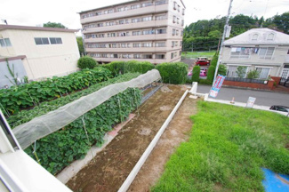 【展望】