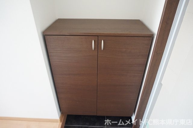 熊本市東区花立６丁目の賃貸マンションの玄関