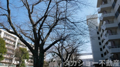 【周辺】 | 都町リハイムA棟