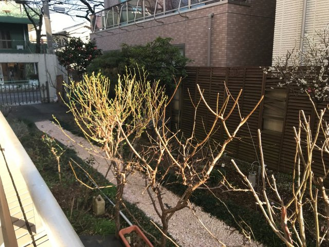 第2市村マンションの展望