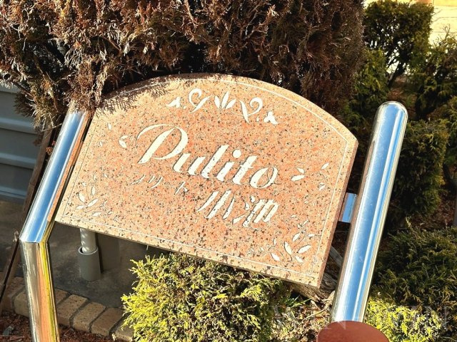pulito 小池のその他