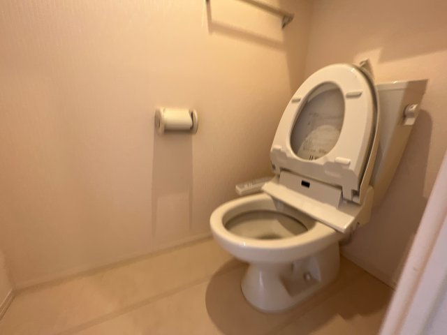 セジュール弥生のトイレ