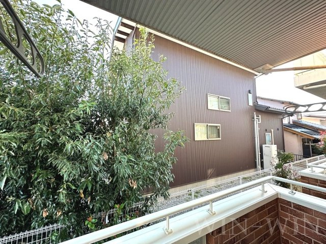 ウエスト 多米の展望