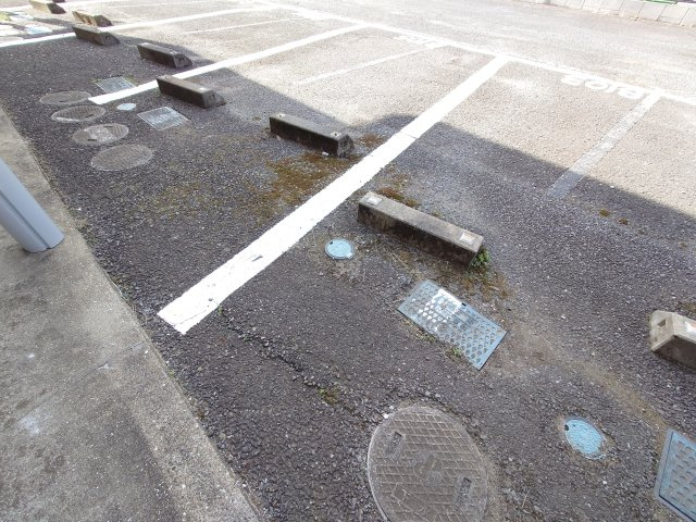 ヂュウファンズ戸頭　C棟の駐車場