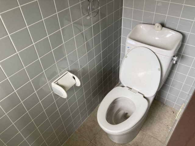 大平町 野澤ビルのトイレ