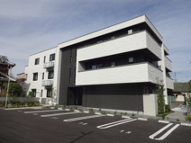 ｐｌａｉｓｉｒ　ｒａｆｆｉｎｅの画像