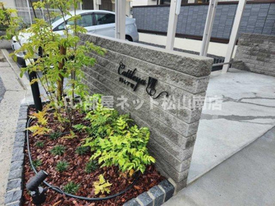 【その他】 | カトレアⅦ