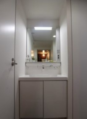 GARAGE HOUSE La Diceの洗面所