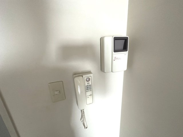 ブルー・エスのその他