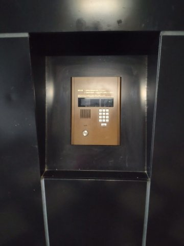 ブルー・エスのその他