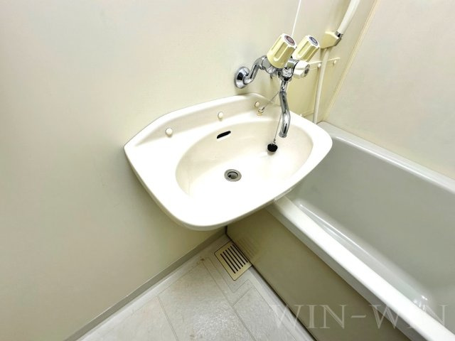 YMシャトーの洗面所