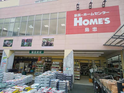島忠ホームズ平井店まで600ｍ