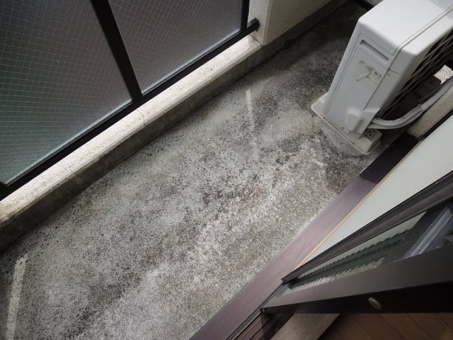 【バルコニー】プラセール高橋